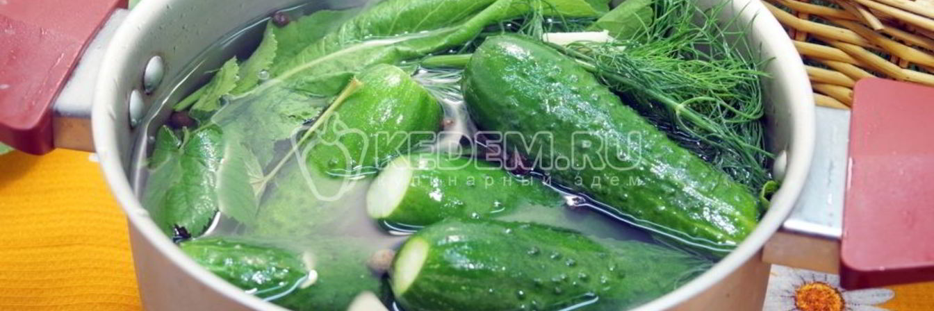Малосольные огурцы в кастрюле