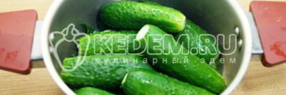 малосольные огурцы в кастрюле