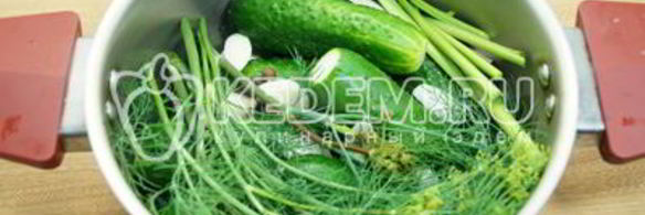 малосольные огурцы в кастрюле