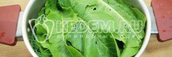 малосольные огурцы в кастрюле