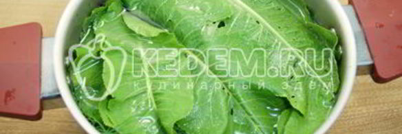 малосольные огурцы в кастрюле