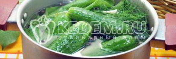 малосольные огурцы в кастрюле