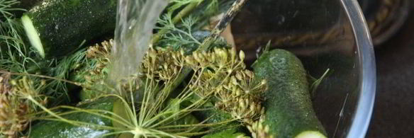 малосольные огурцы в минеральной воде на зиму