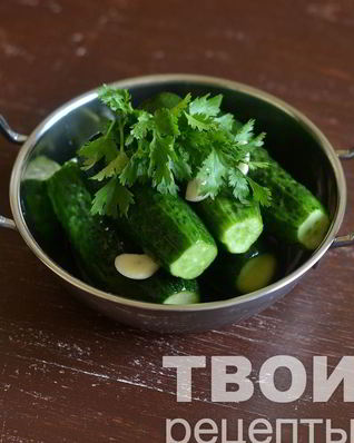 Малосольные огурцы