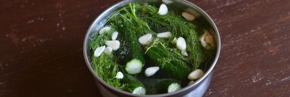 малосольные огурцы