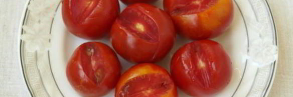малосольные помидоры в пакете