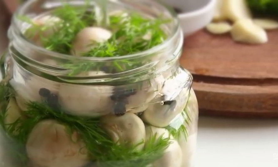 Рецепт малосольных шампиньонов