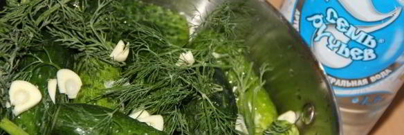 огурцы малосольные на минеральной воде