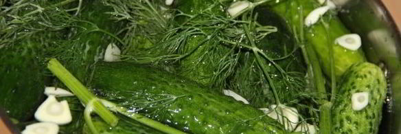 огурцы малосольные на минеральной воде