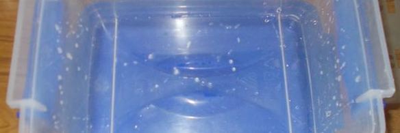 огурцы малосольные