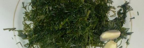 огурцы малосольные