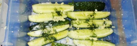 огурцы малосольные