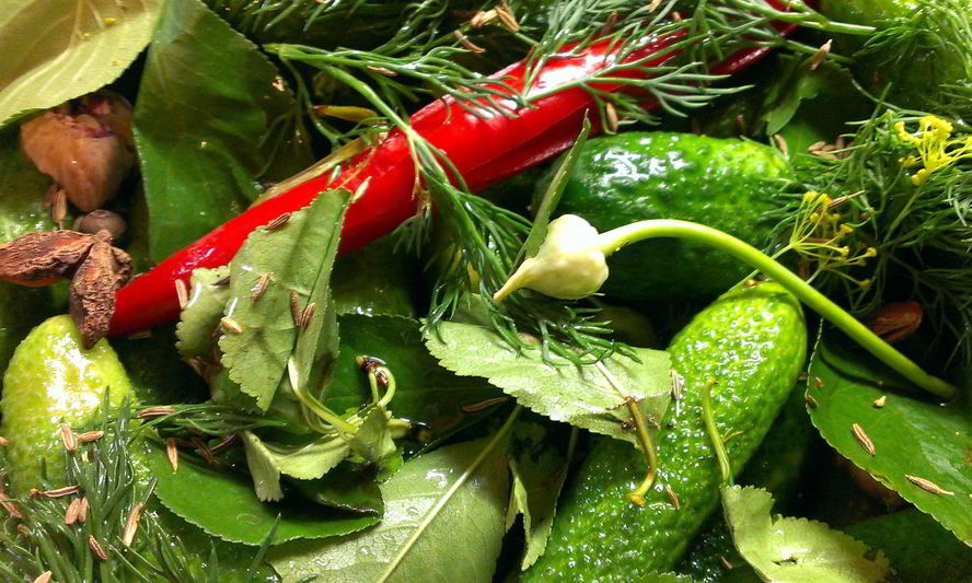 Рецепт острых малосольных огурцов на водке