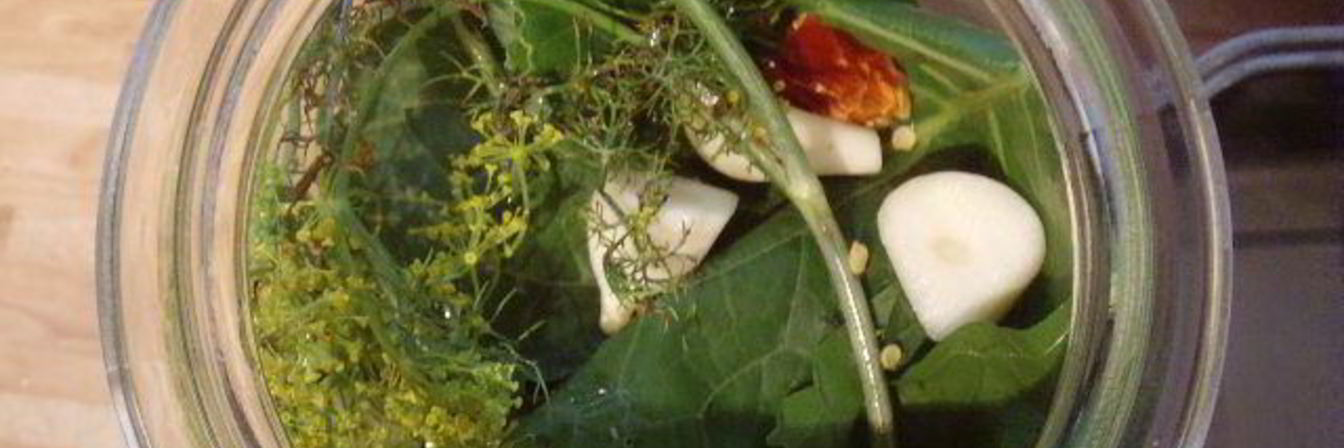 Соленые огурцы на зиму