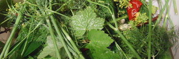 соленые огурцы на зиму