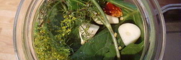 соленые огурцы на зиму