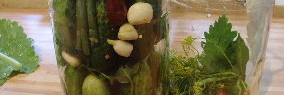 соленые огурцы на зиму