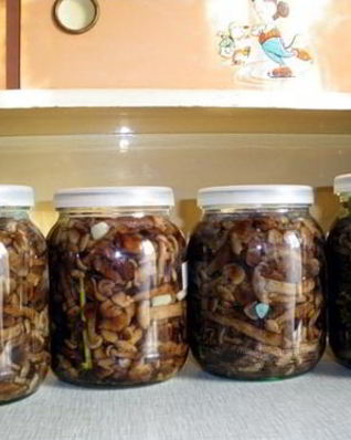 Соленые опята на зиму