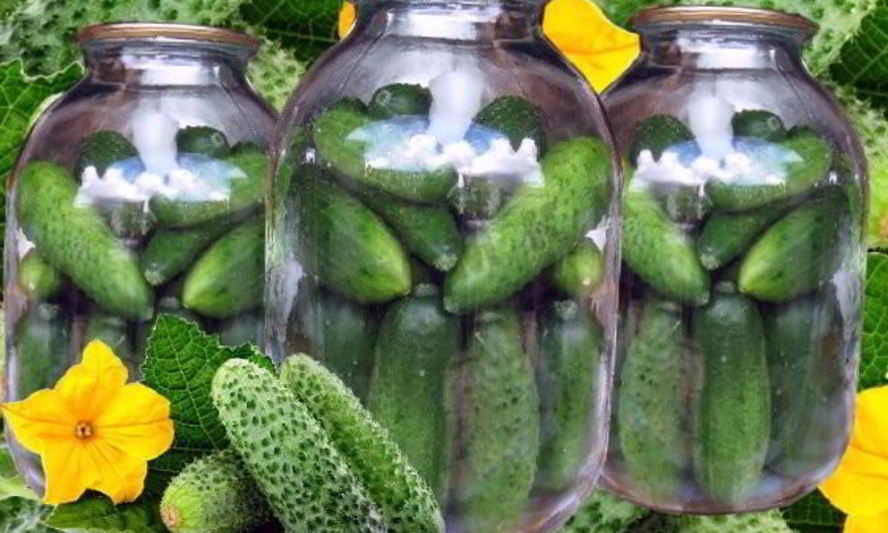 Рецепт свежих огурцов на зиму