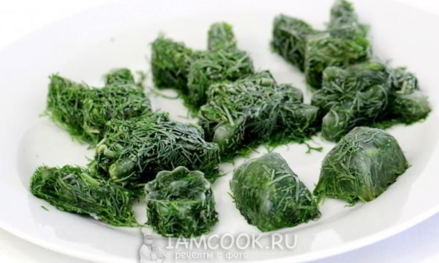 Рецепт укропа на зиму