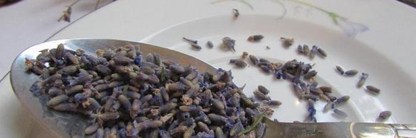 абрикосовый конфитюр с лавандой