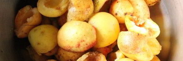 конфитюр из абрикосов