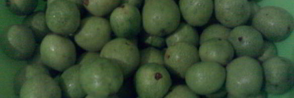 варенье из грецких орехов