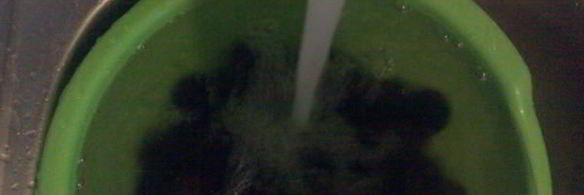 варенье из грецких орехов