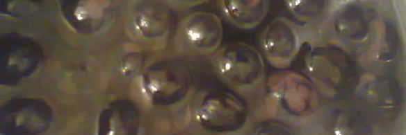 варенье из грецких орехов