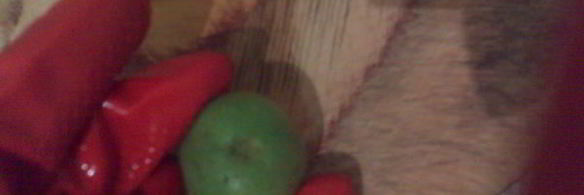 варенье из грецких орехов