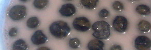 варенье из грецких орехов