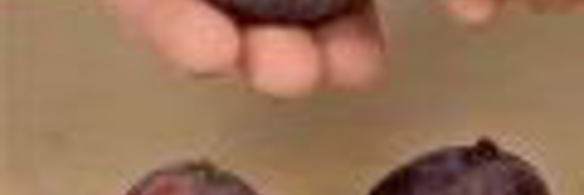 варенье из инжира