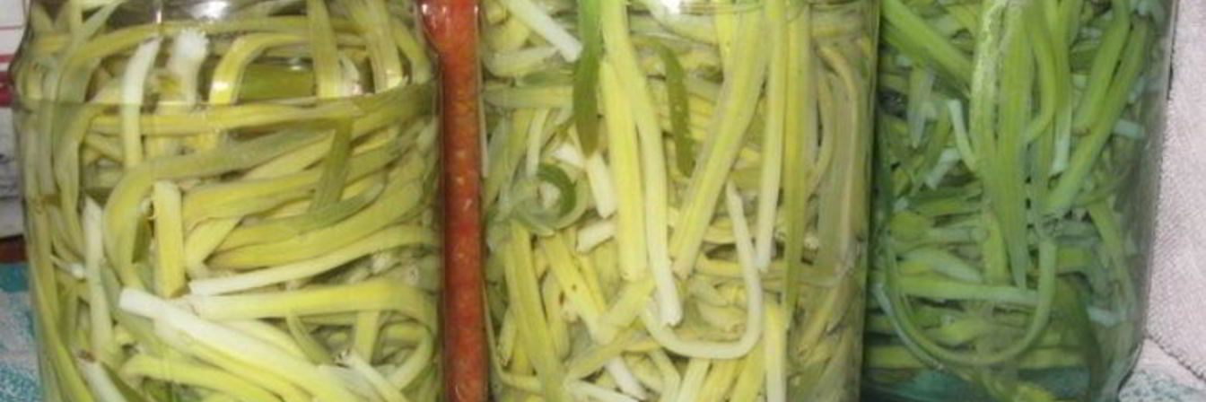 Заготовка черемши на зиму