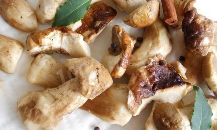 Рецепт заготовки грибов замороженных на зиму