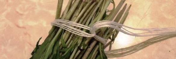 заготовка пряности — чабер, эстрагон