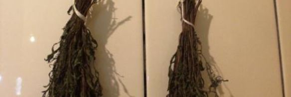 заготовка пряности — чабер, эстрагон