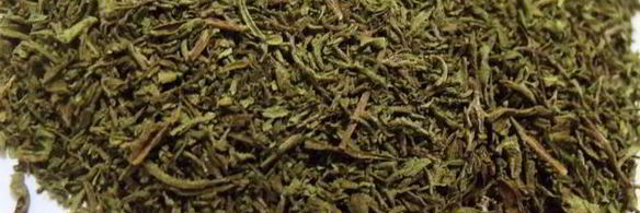 заготовка пряности — чабер, эстрагон