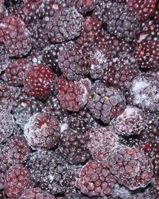 Заготовки из ежевики