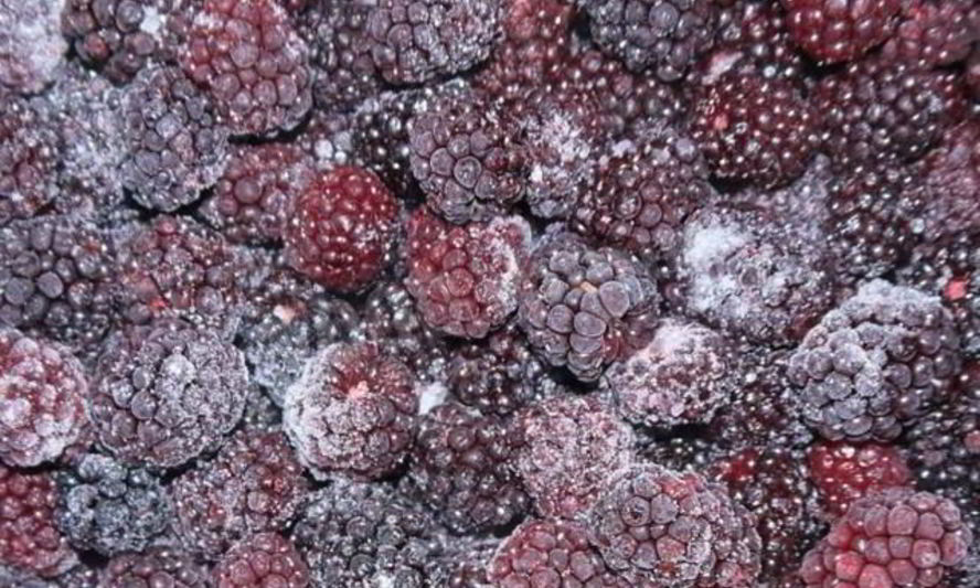 Рецепт заготовок из ежевики