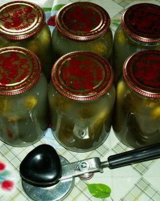 Закатка соленых огурцов на зиму