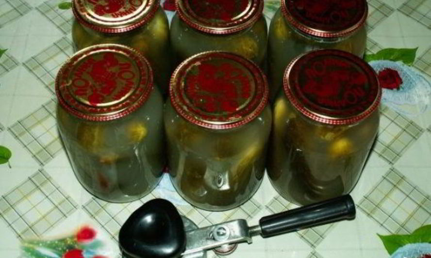 Рецепт закатки соленых огурцов на зиму