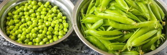 заморозка зеленого горошка на зиму