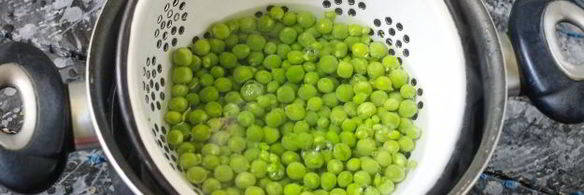 заморозка зеленого горошка на зиму