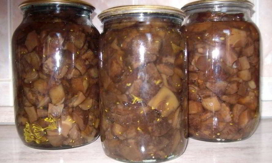 Рецепт бабушкиных маринованных свинух