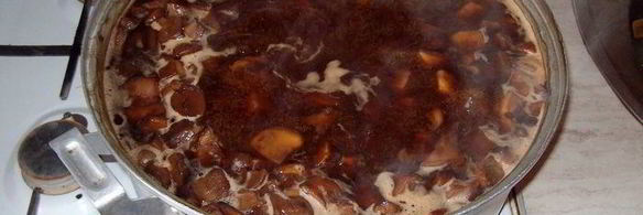 бабушкины маринованные свинухи