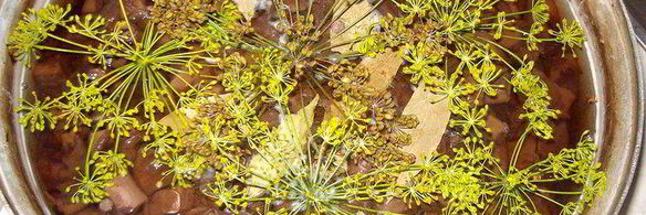 бабушкины маринованные свинухи