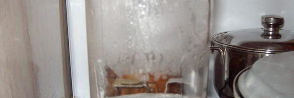 бабушкины маринованные свинухи