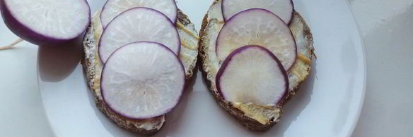 бутерброд с соленой селедкой и редисом