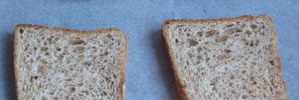 горячий бутерброд с тунцом и копченым сыром