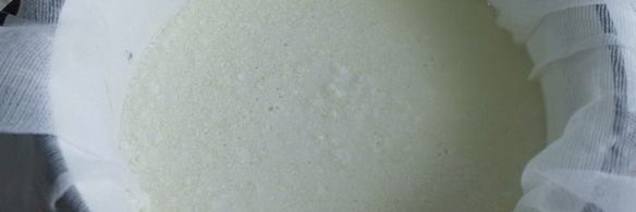 домашний сыр с базиликом